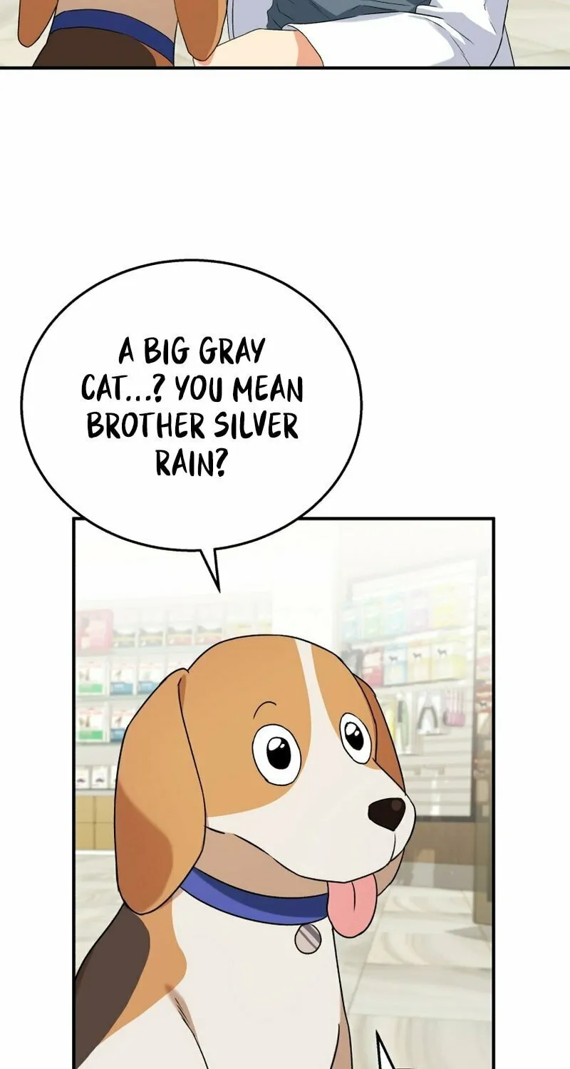Veterinarian! Hello? Chapter 12 page 21 - 