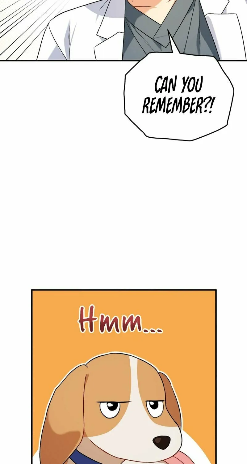 Veterinarian! Hello? Chapter 12 page 26 - 