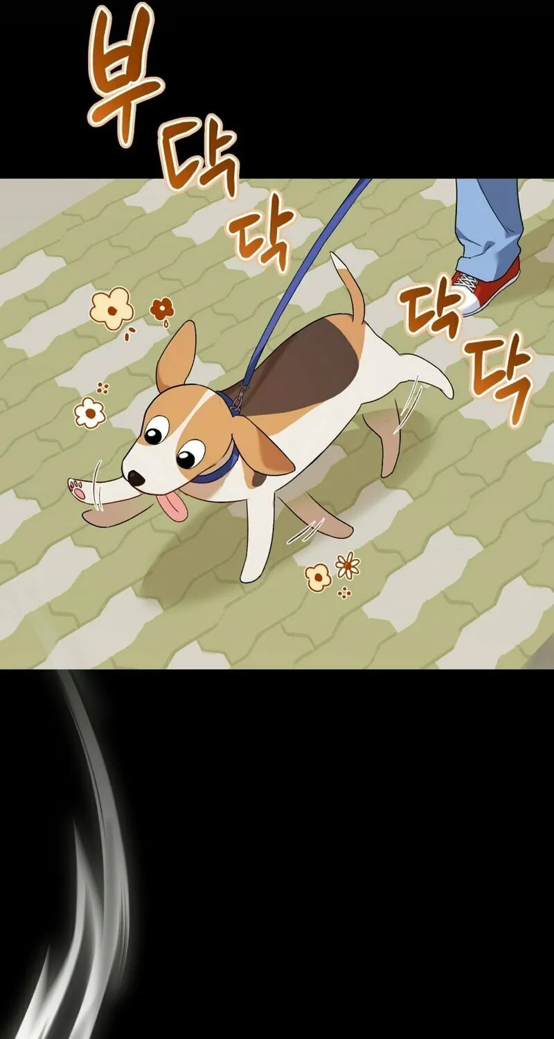 Veterinarian! Hello? Chapter 12 page 29 - 