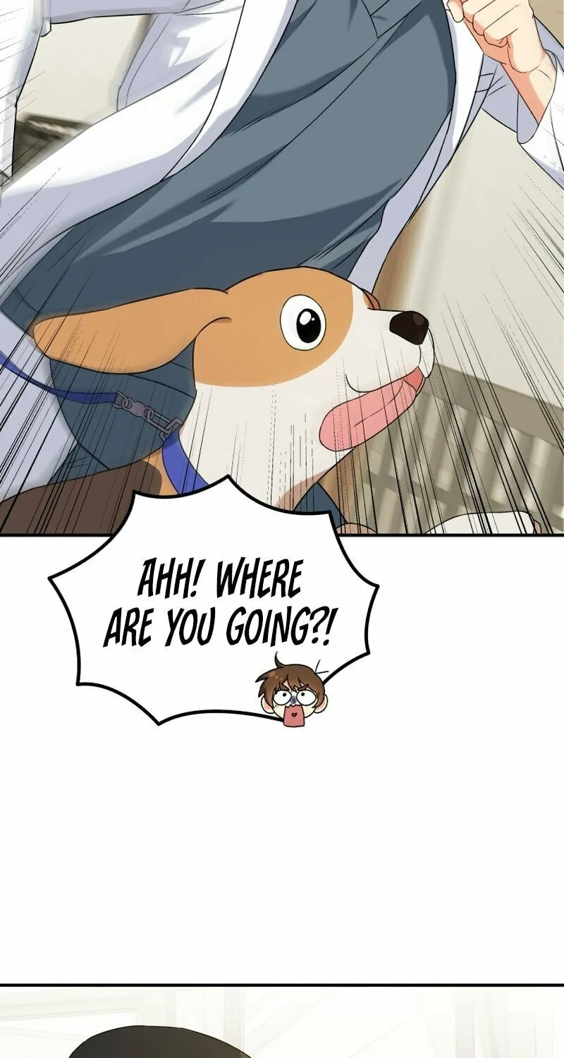 Veterinarian! Hello? Chapter 12 page 45 - 