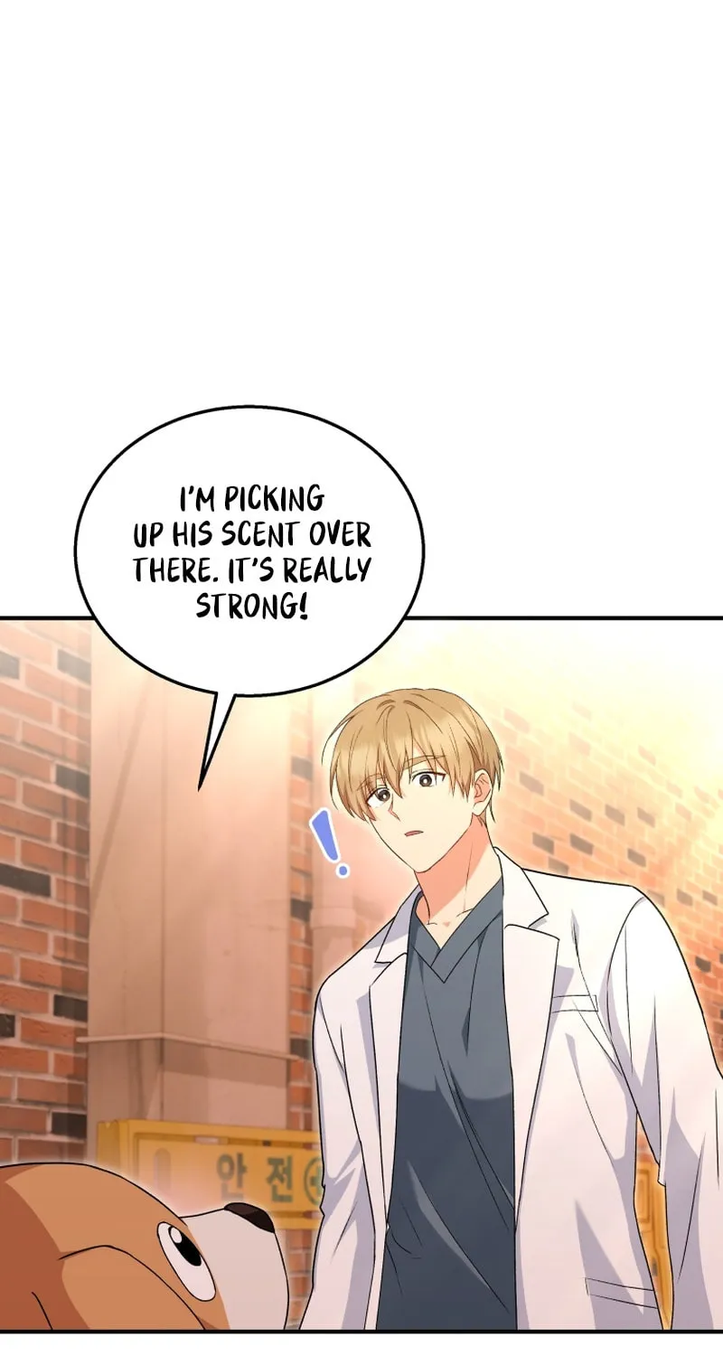 Veterinarian! Hello? Chapter 12 page 64 - 