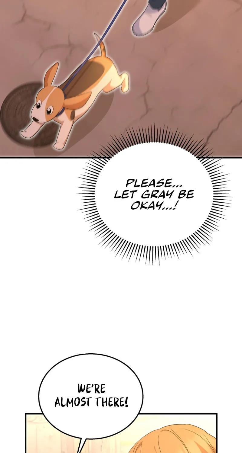 Veterinarian! Hello? Chapter 12 page 66 - 
