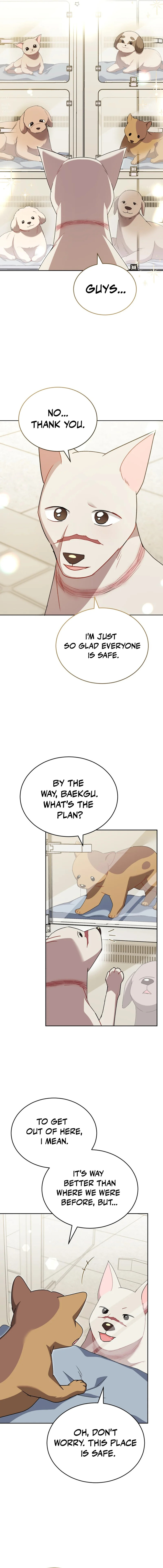 Veterinarian! Hello? Chapter 120 page 8 - 