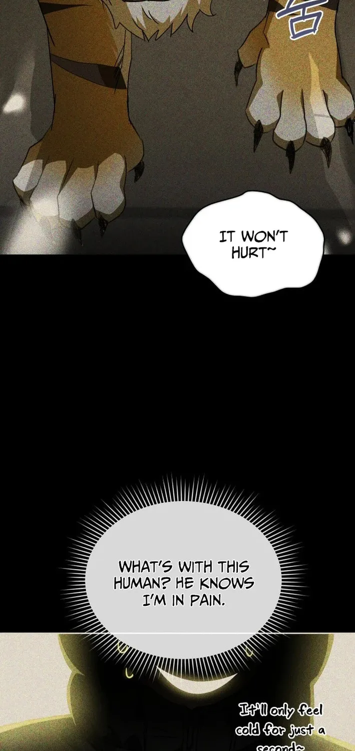 Veterinarian! Hello? Chapter 127 page 32 - 