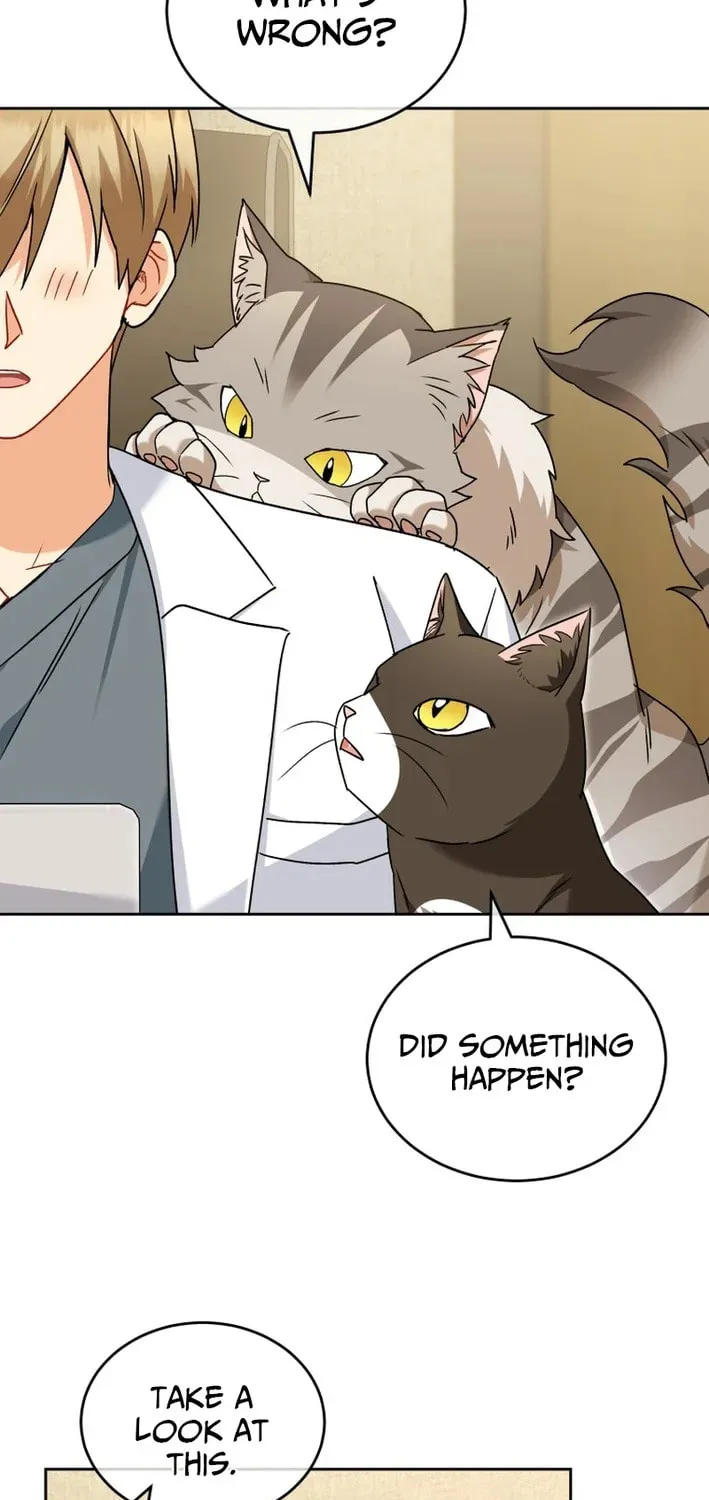 Veterinarian! Hello? Chapter 127 page 78 - 