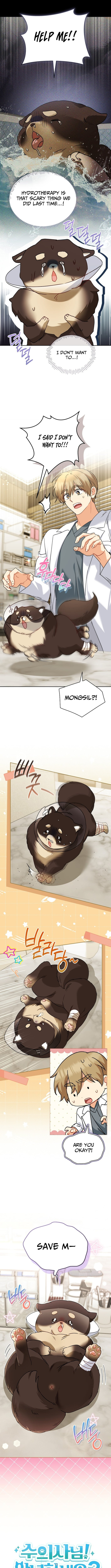 Veterinarian! Hello? Chapter 128 page 3 - 