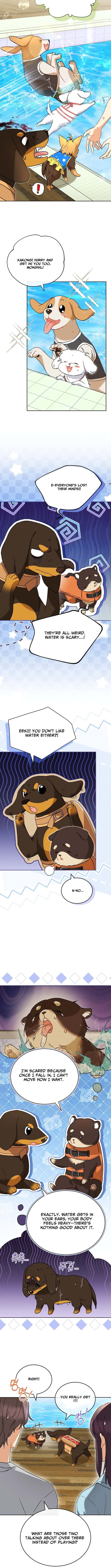 Veterinarian! Hello? Chapter 129 page 5 - 