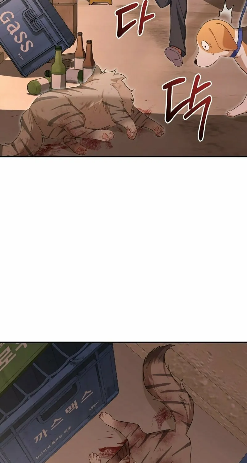 Veterinarian! Hello? Chapter 13 page 3 - 