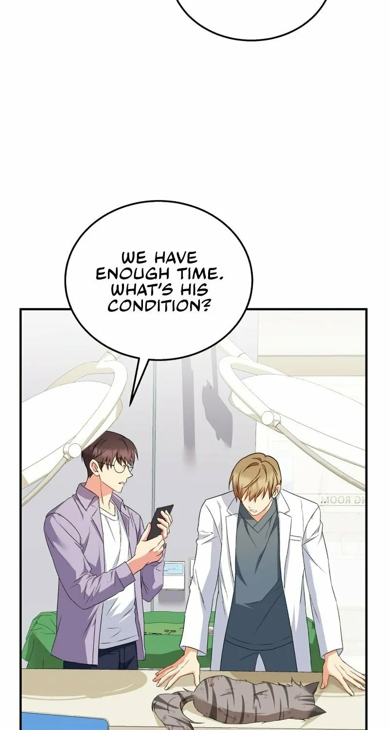 Veterinarian! Hello? Chapter 13 page 31 - 