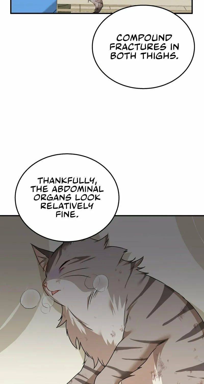 Veterinarian! Hello? Chapter 13 page 32 - 