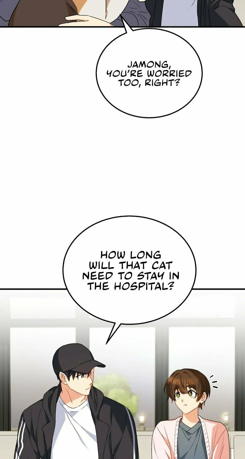 Veterinarian! Hello? Chapter 13 page 47 - 
