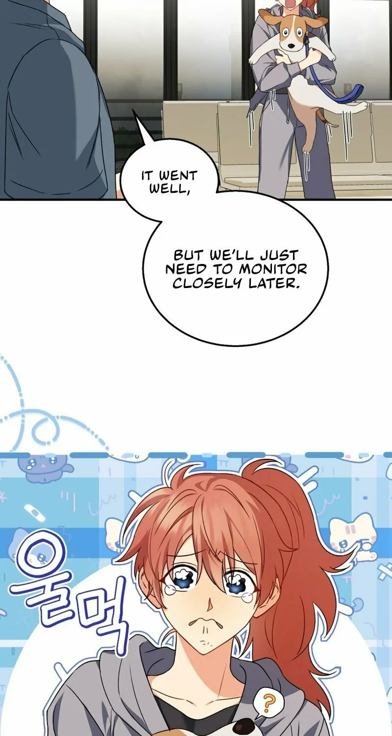 Veterinarian! Hello? Chapter 13 page 61 - 