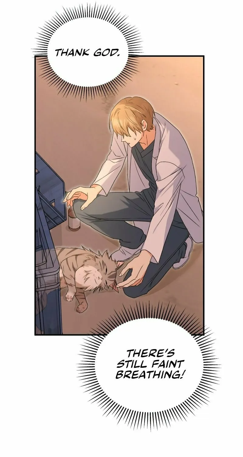 Veterinarian! Hello? Chapter 13 page 9 - 