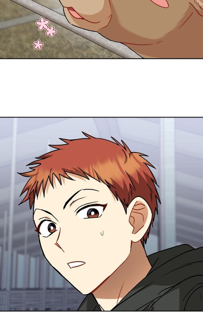 Veterinarian! Hello? Chapter 133 page 117 - 