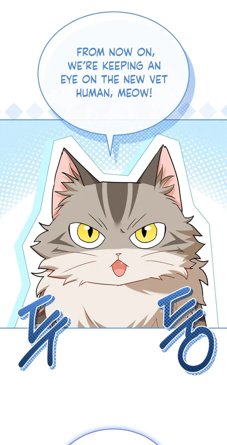 Veterinarian! Hello? Chapter 137 page 2 - 