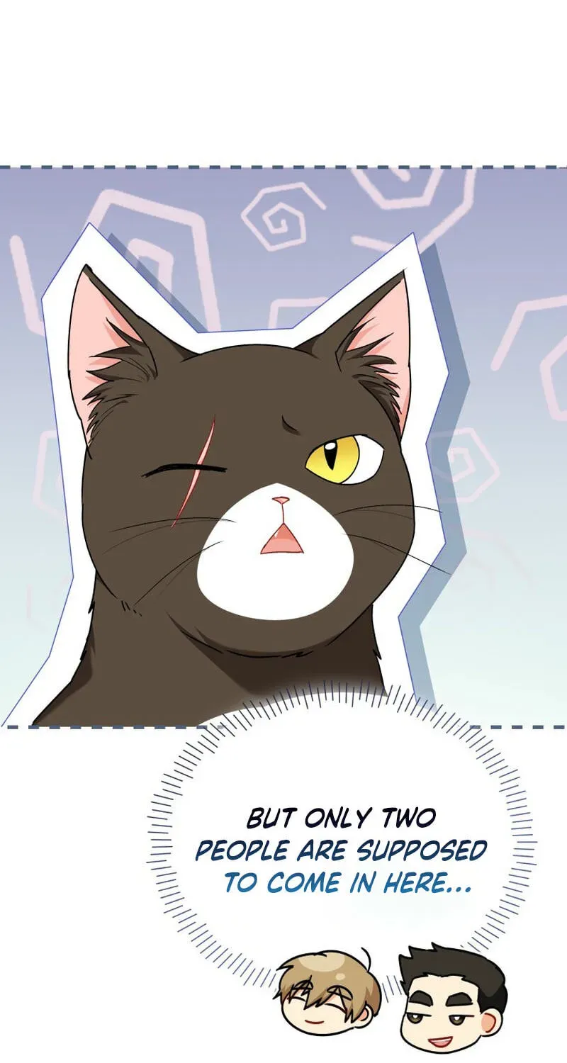 Veterinarian! Hello? Chapter 137 page 107 - 