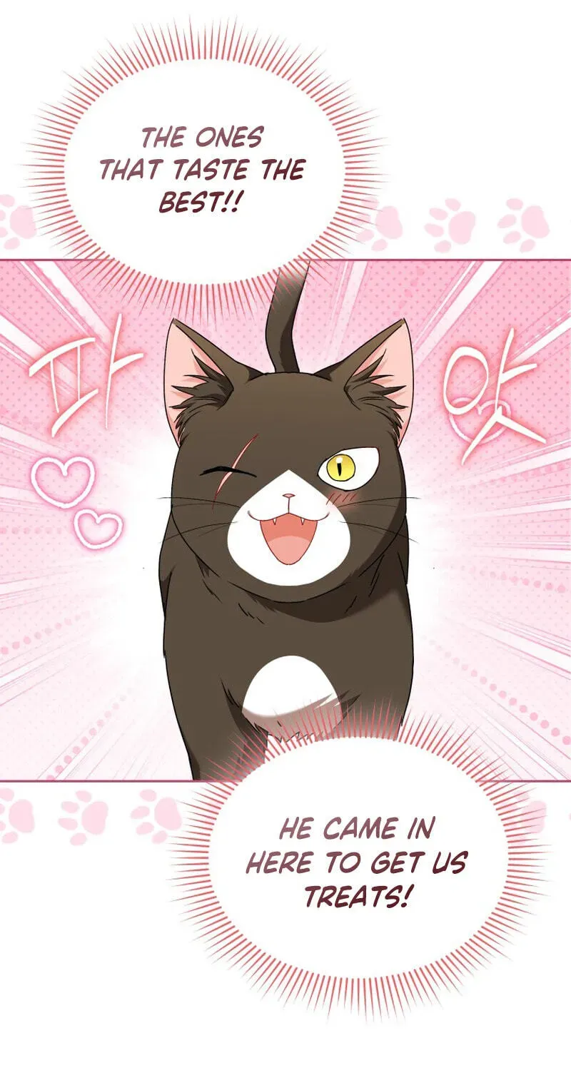 Veterinarian! Hello? Chapter 137 page 111 - 
