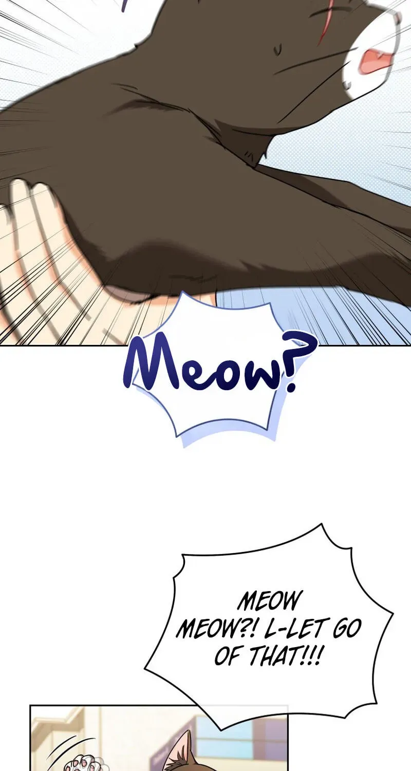 Veterinarian! Hello? Chapter 137 page 119 - 
