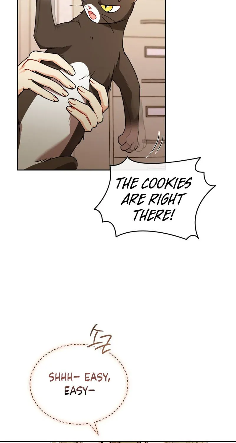 Veterinarian! Hello? Chapter 137 page 121 - 