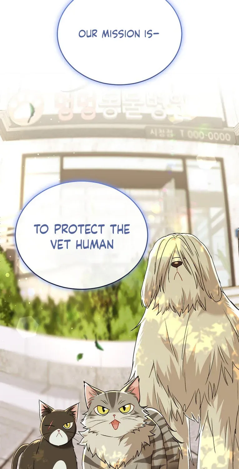 Veterinarian! Hello? Chapter 137 page 3 - 