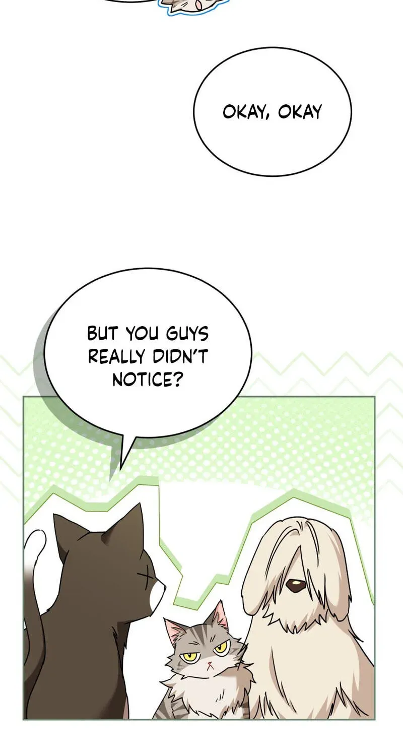 Veterinarian! Hello? Chapter 137 page 21 - 