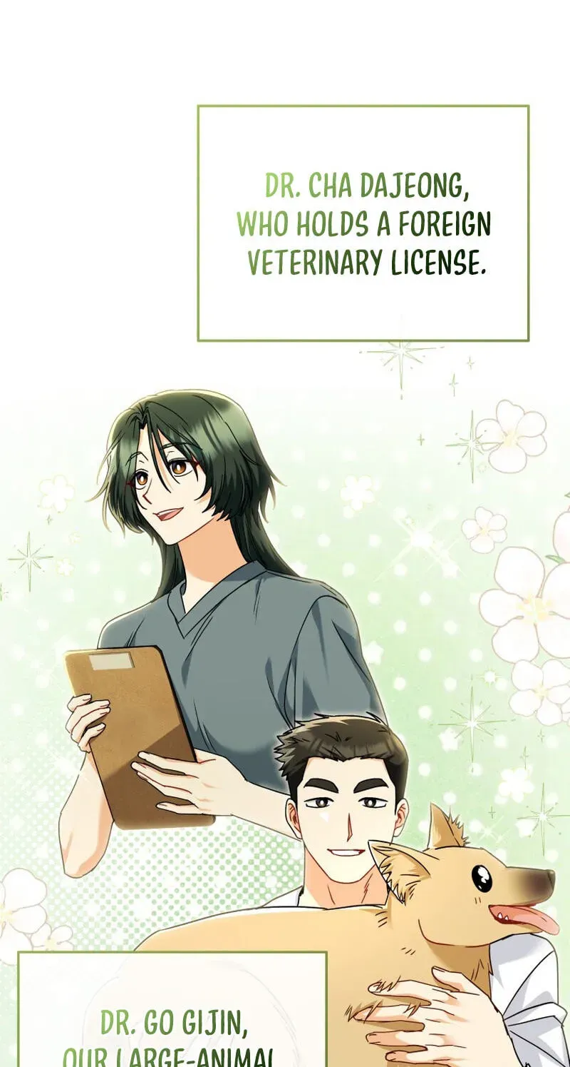 Veterinarian! Hello? Chapter 137 page 41 - 