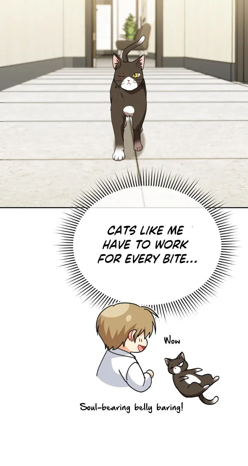 Veterinarian! Hello? Chapter 137 page 91 - 