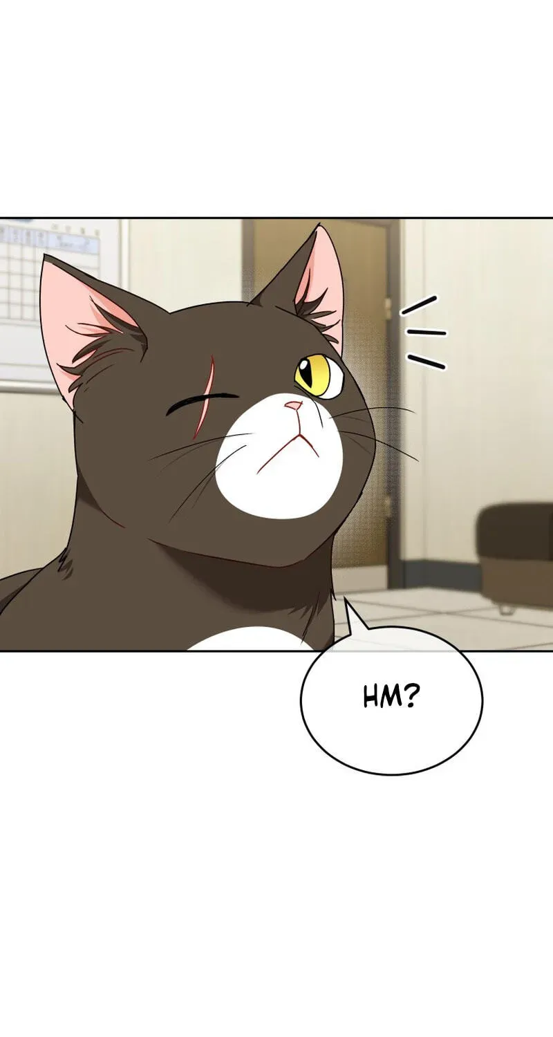 Veterinarian! Hello? Chapter 137 page 93 - 