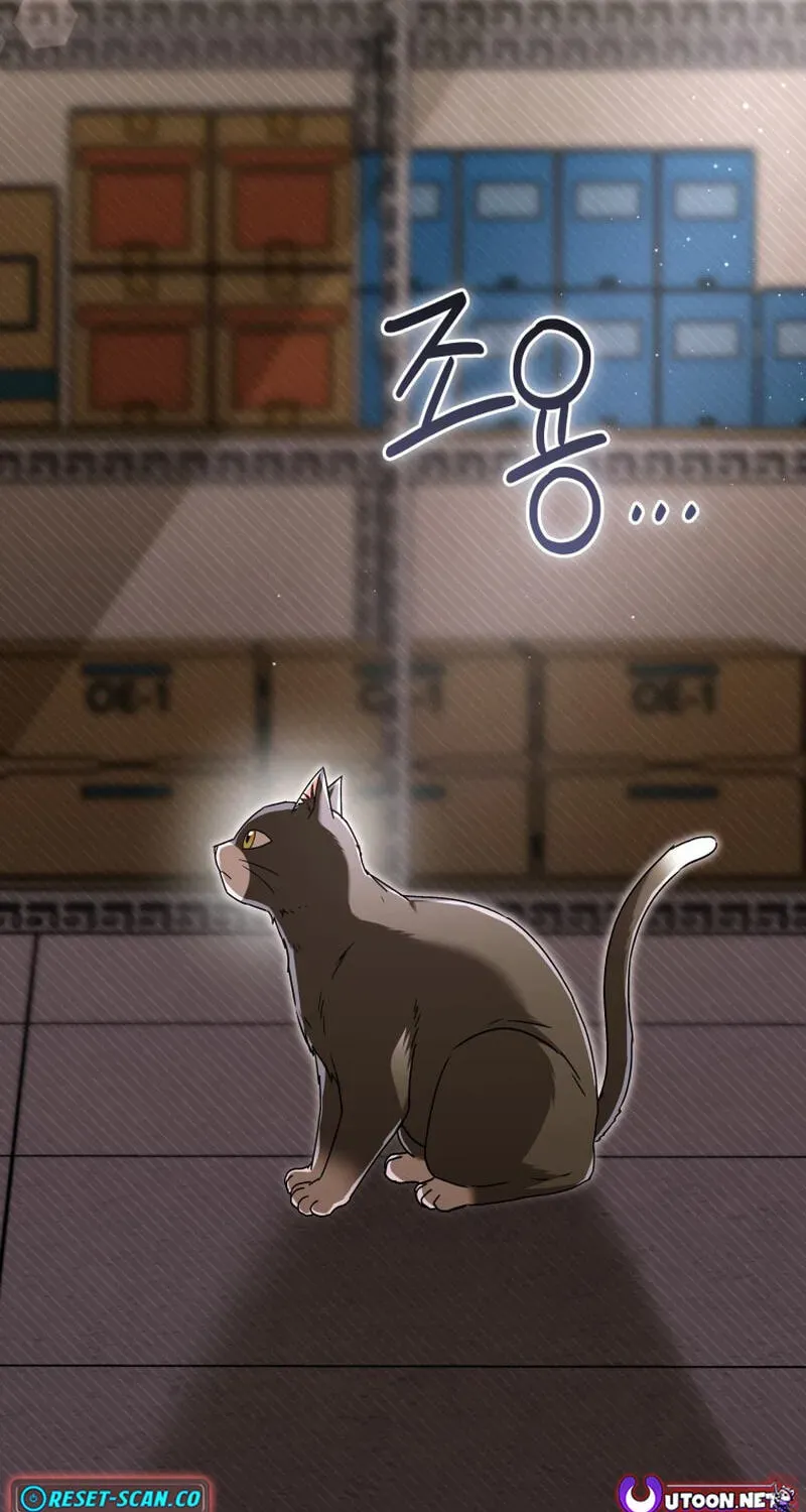 Veterinarian! Hello? Chapter 137 page 99 - 