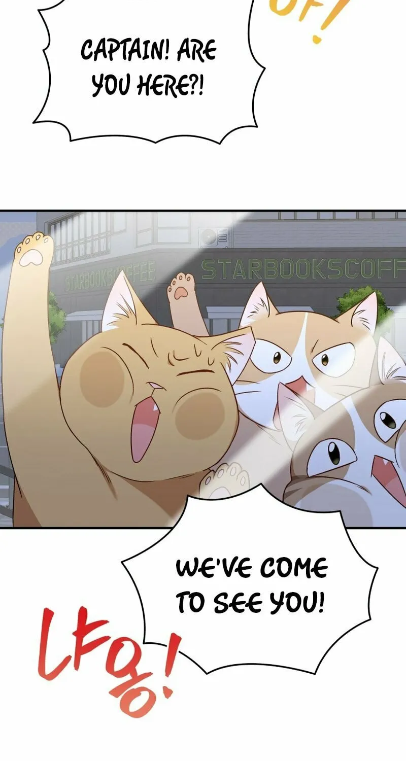 Veterinarian! Hello? Chapter 14 page 45 - 