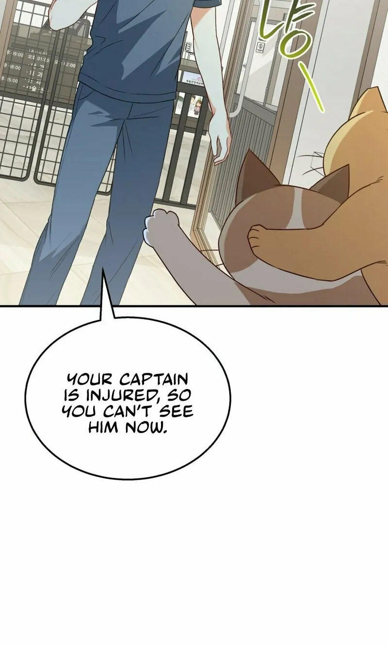 Veterinarian! Hello? Chapter 14 page 47 - 