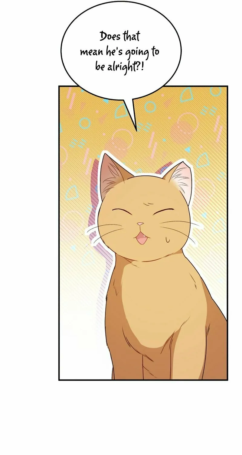 Veterinarian! Hello? Chapter 14 page 48 - 