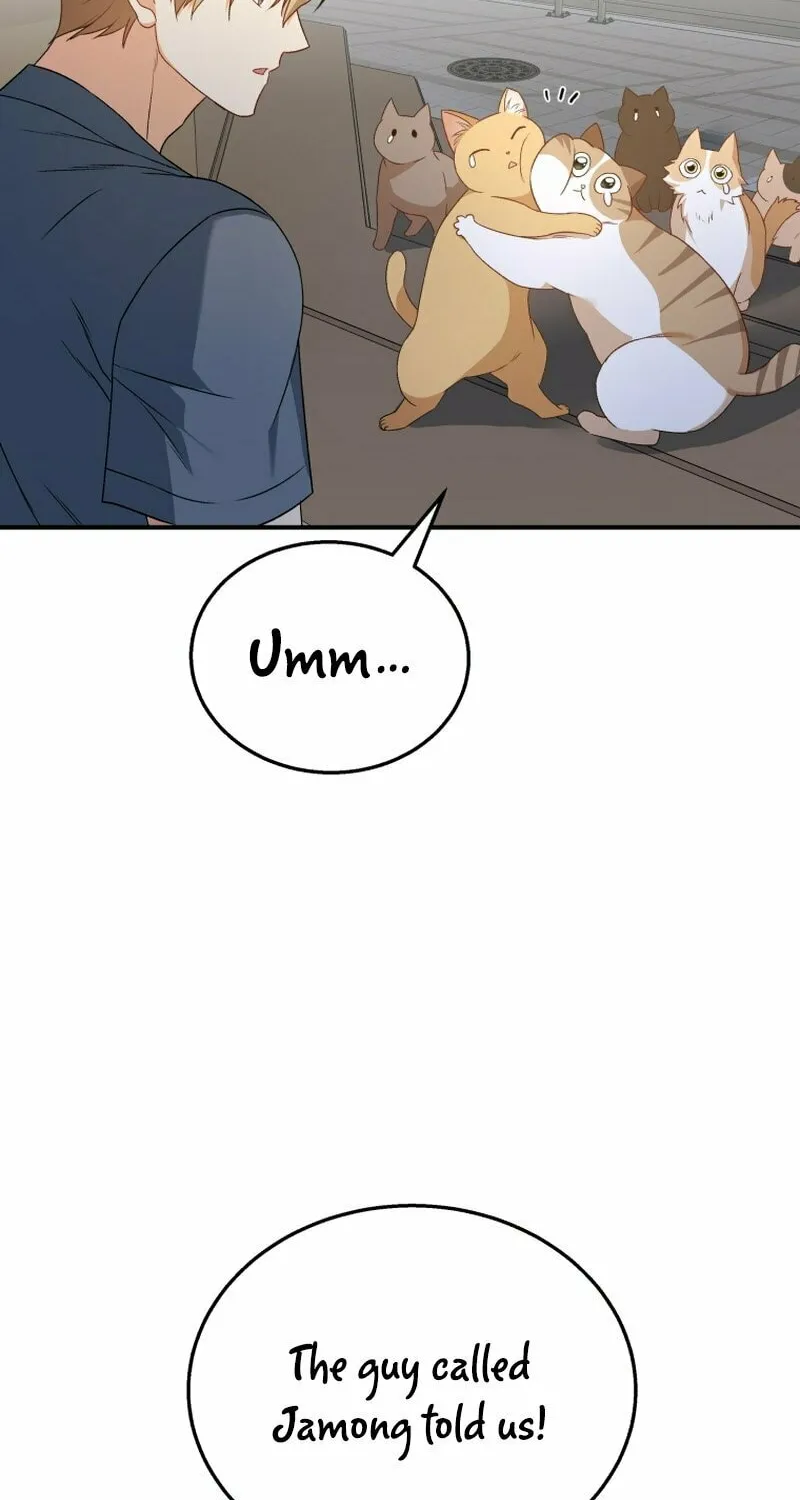 Veterinarian! Hello? Chapter 14 page 53 - 