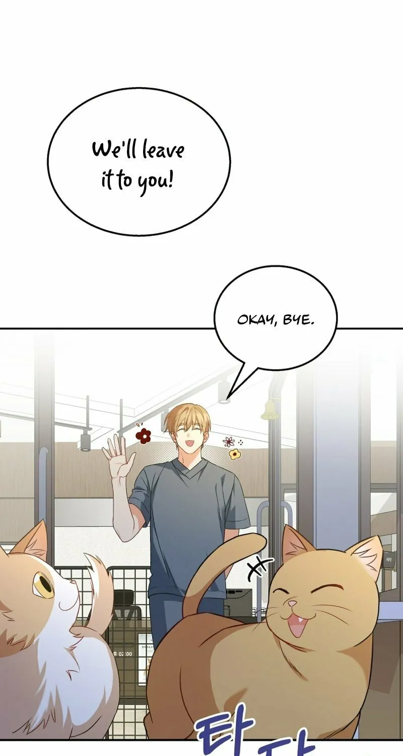 Veterinarian! Hello? Chapter 14 page 69 - 