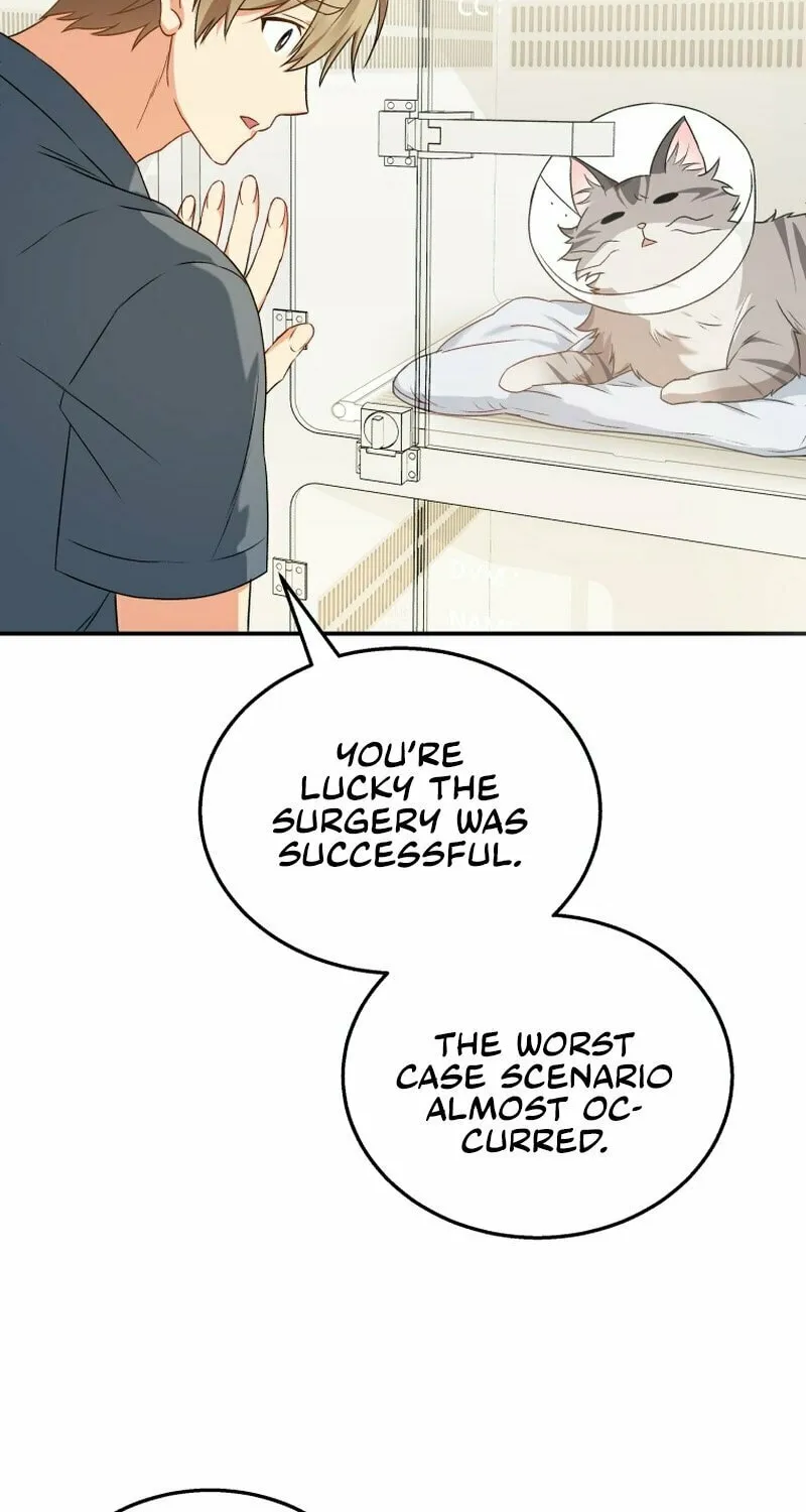 Veterinarian! Hello? Chapter 14 page 74 - 