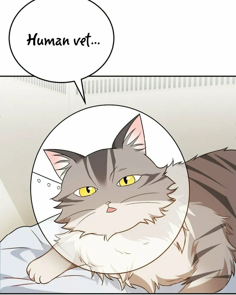 Veterinarian! Hello? Chapter 14 page 75 - 