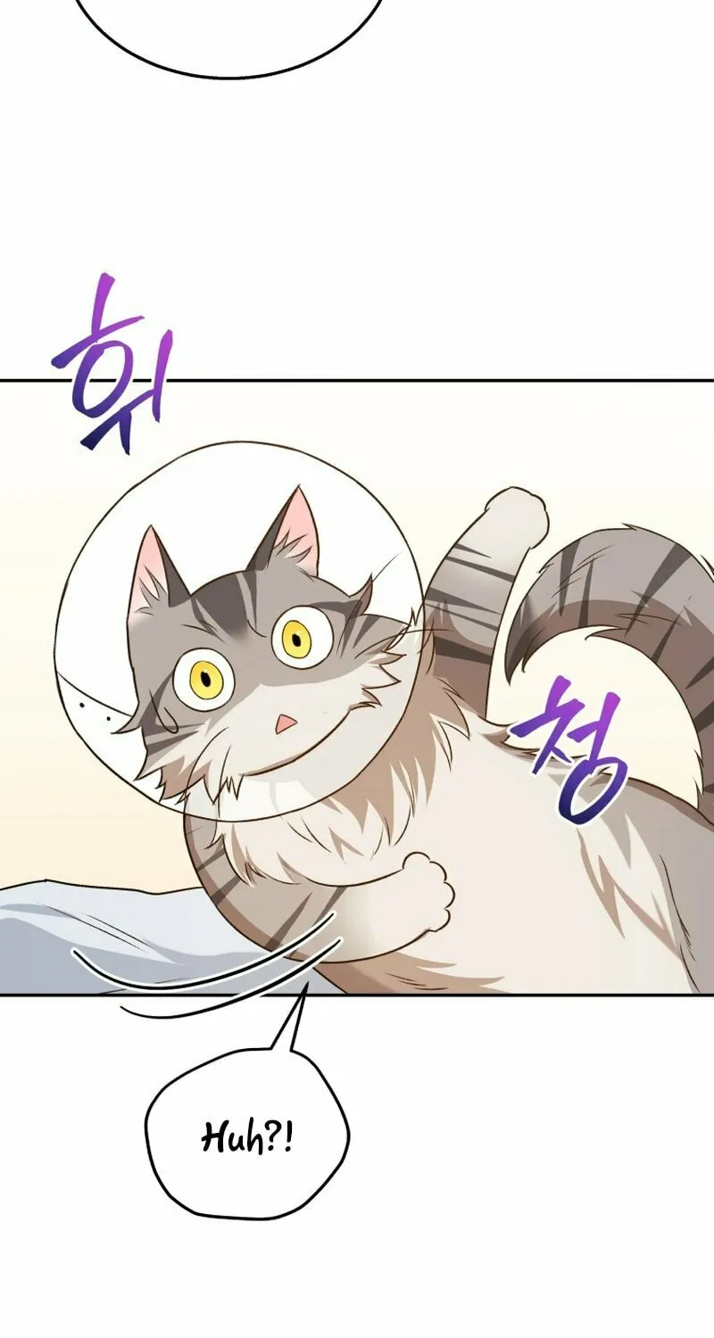 Veterinarian! Hello? Chapter 14 page 77 - 