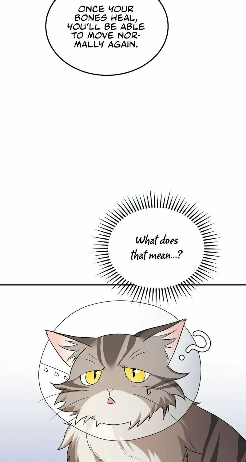 Veterinarian! Hello? Chapter 14 page 79 - 