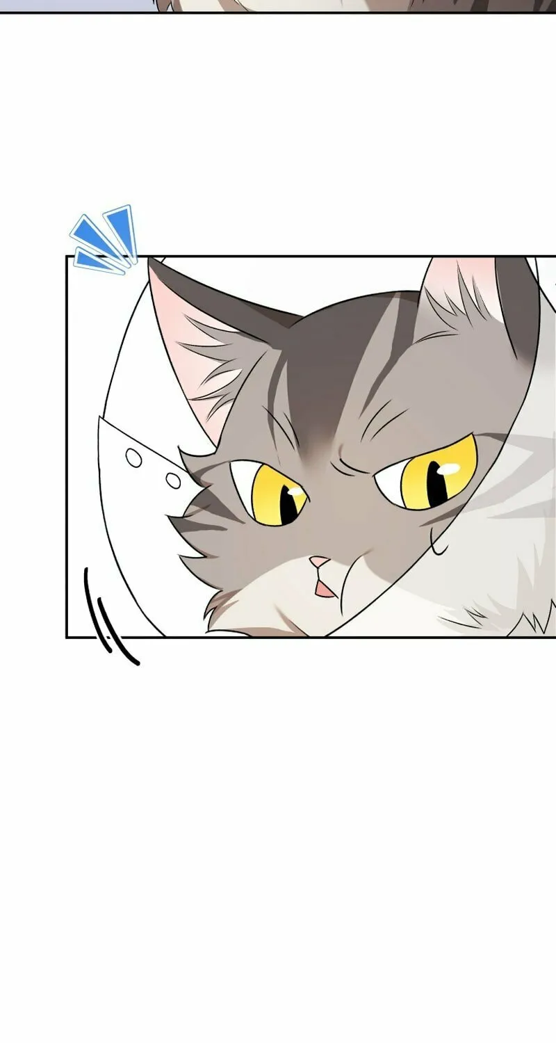 Veterinarian! Hello? Chapter 14 page 80 - 