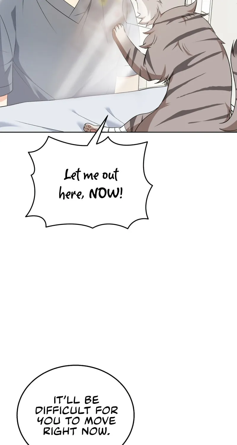 Veterinarian! Hello? Chapter 15 page 12 - 