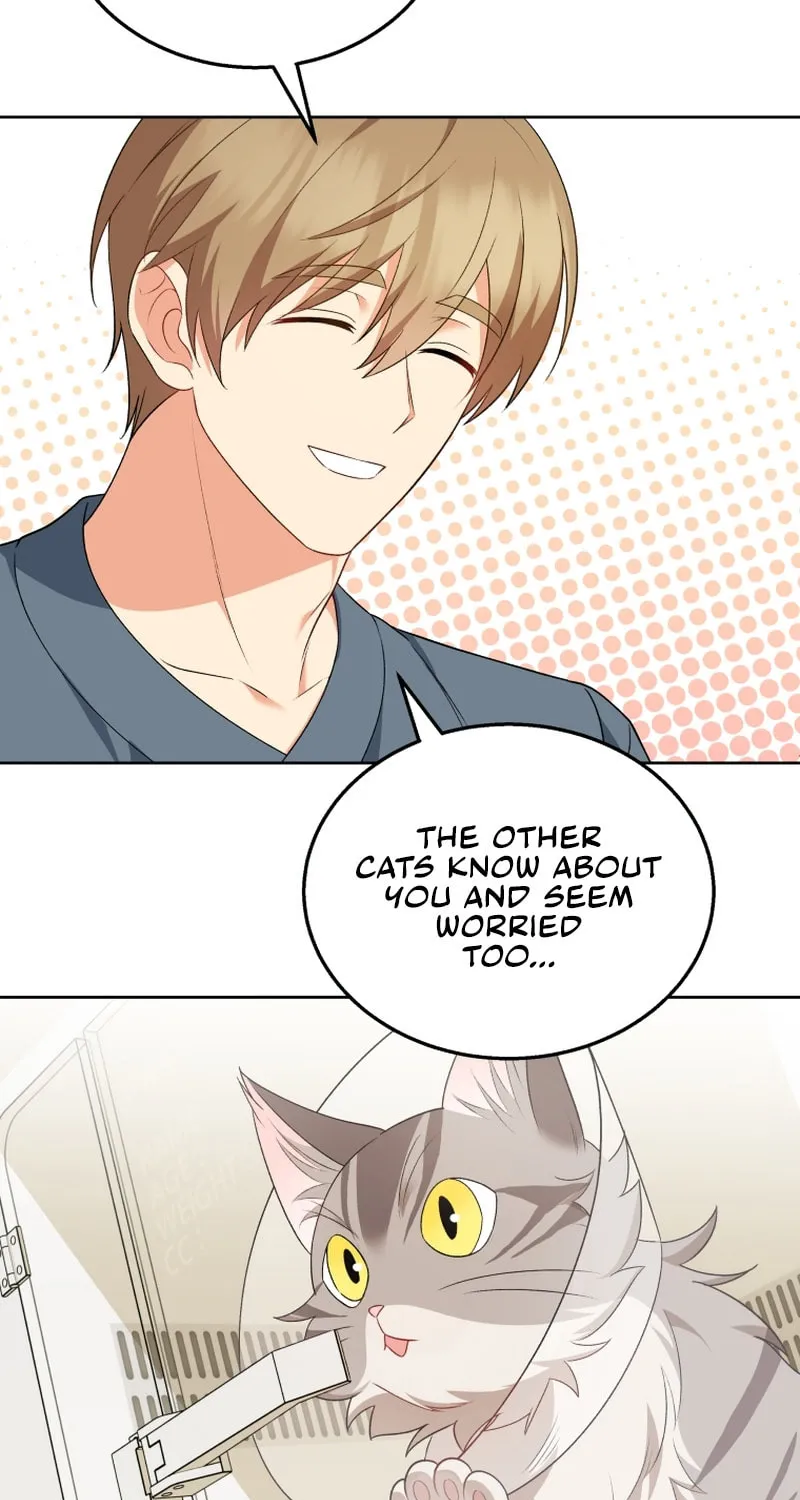 Veterinarian! Hello? Chapter 15 page 13 - 