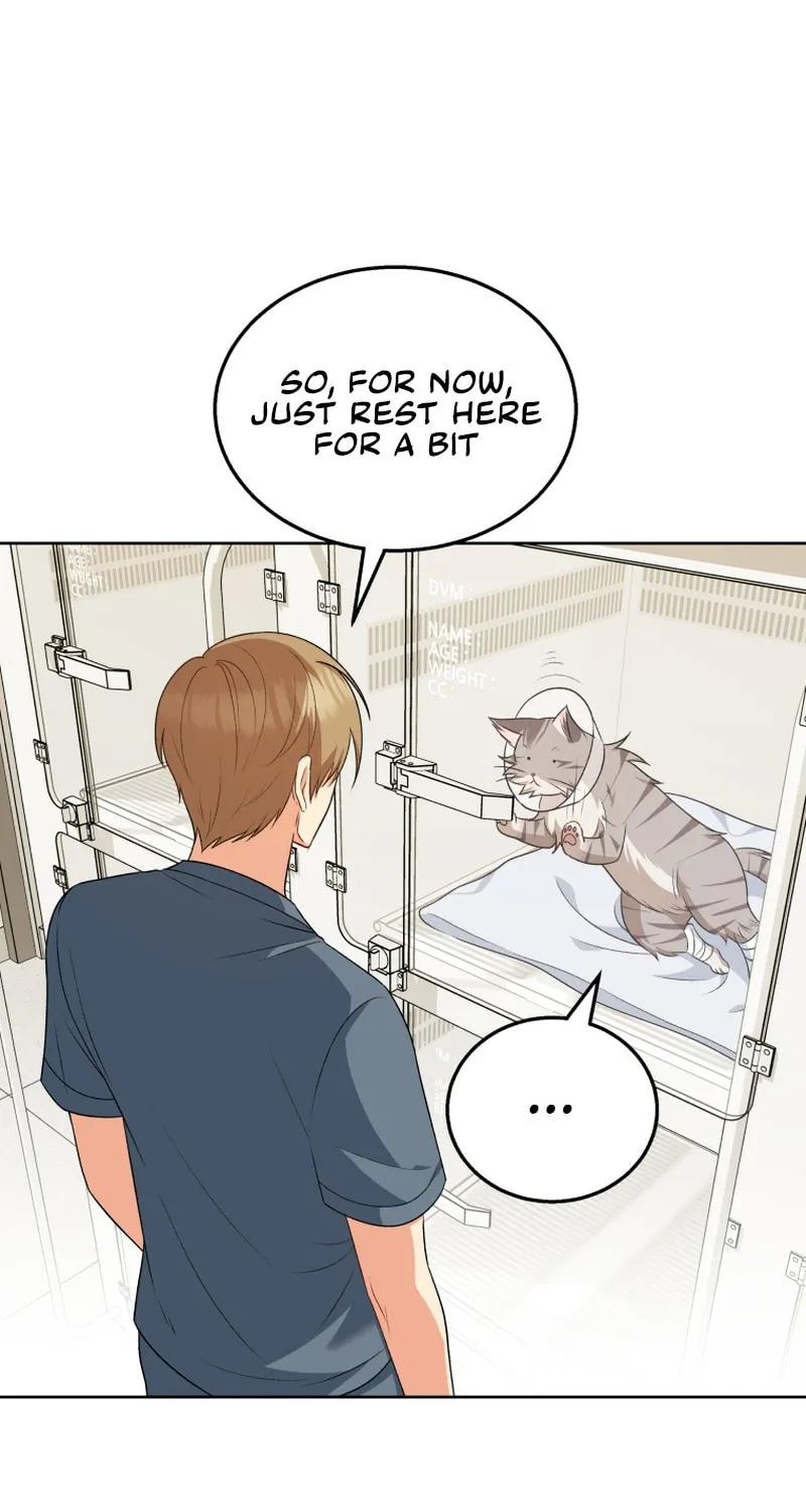 Veterinarian! Hello? Chapter 15 page 16 - 
