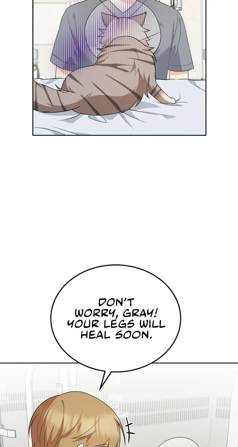 Veterinarian! Hello? Chapter 15 page 20 - 