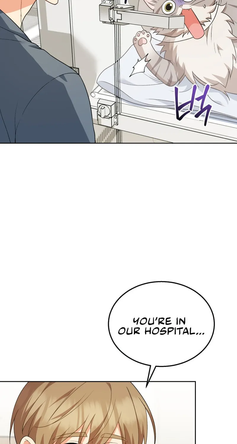 Veterinarian! Hello? Chapter 15 page 3 - 