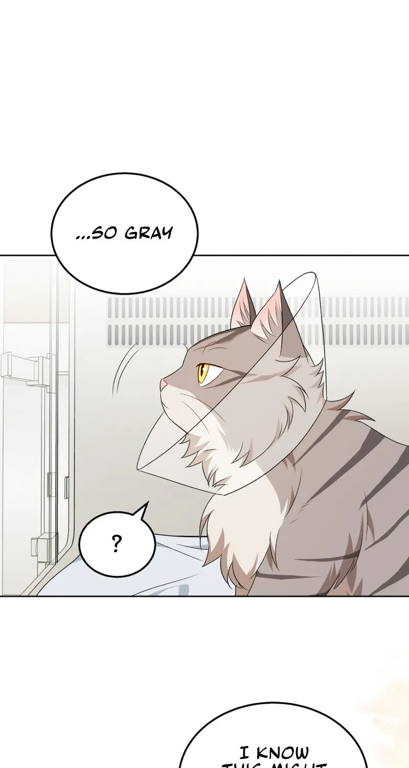 Veterinarian! Hello? Chapter 15 page 23 - 