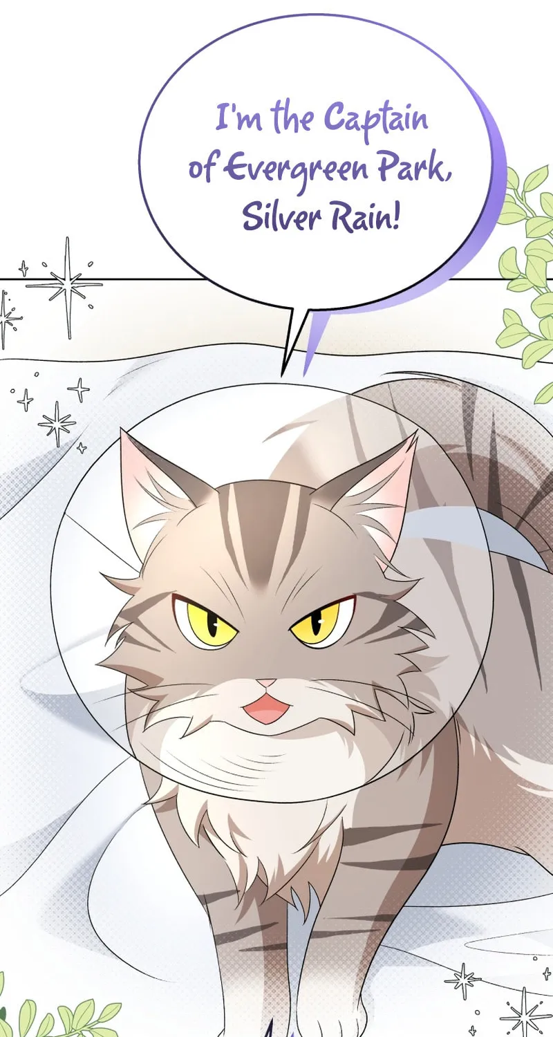 Veterinarian! Hello? Chapter 15 page 38 - 