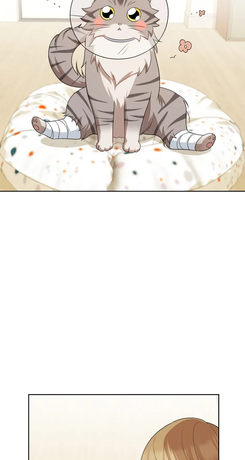 Veterinarian! Hello? Chapter 15 page 45 - 