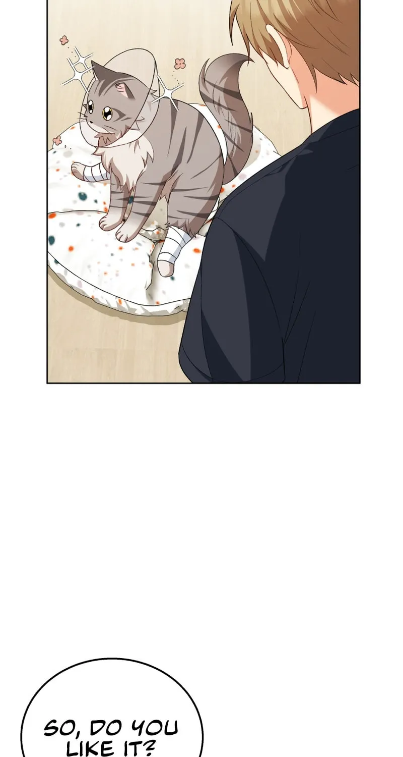 Veterinarian! Hello? Chapter 15 page 46 - 