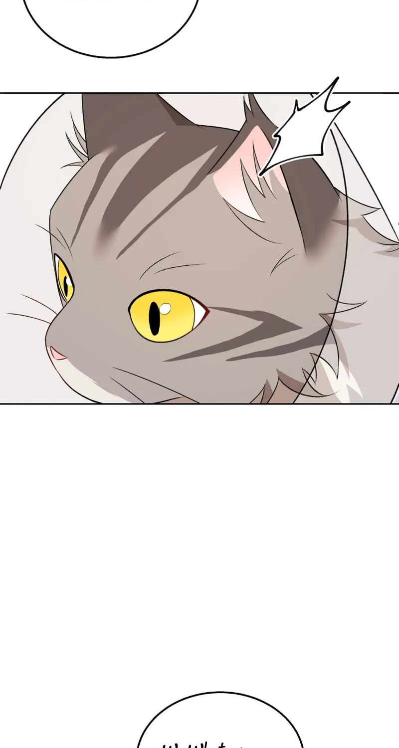 Veterinarian! Hello? Chapter 15 page 47 - 