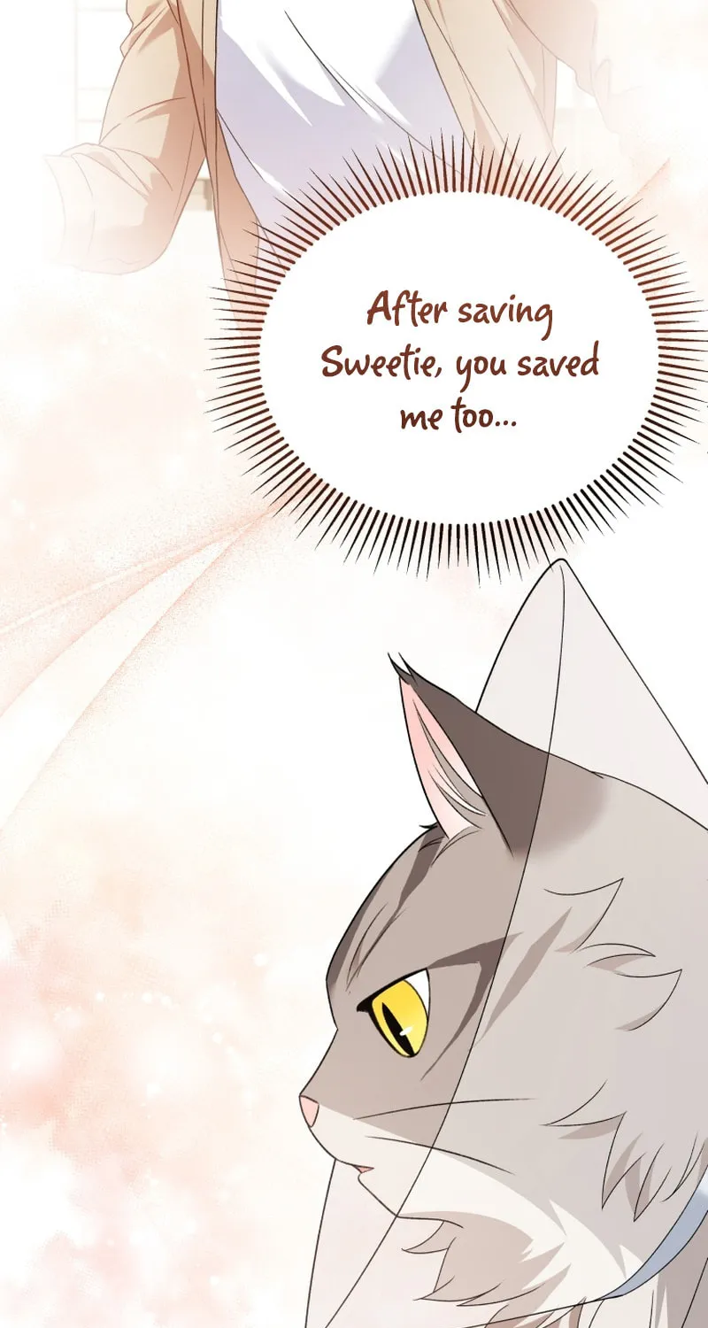 Veterinarian! Hello? Chapter 15 page 6 - 